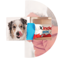 A dog with wet fur licks its nose while standing next to a colorful Kinder chocolate packaging
