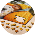 An almost completed puzzle featuring a picture of a dog and a person in a yellow sweater. One puzzle piece is missing in the top right.